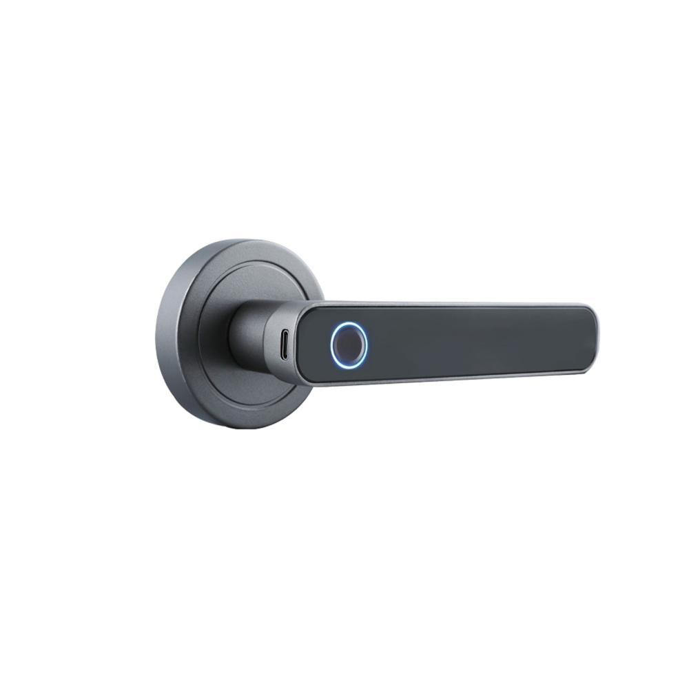 WAFU Fingerprint Door Lock Tuya App  |  Smart Door Lock Smart Device Dark Gray